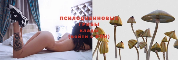 дмт Белокуриха