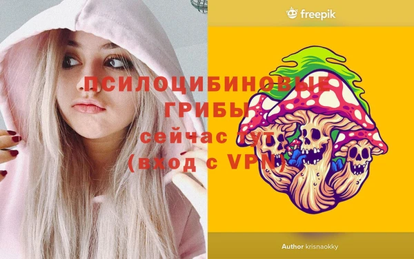 амф Белоозёрский