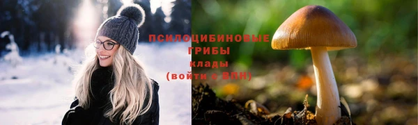 амф Белоозёрский