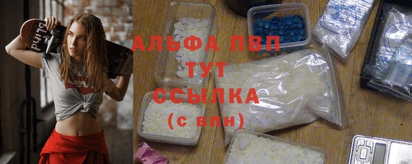 дмт Белокуриха