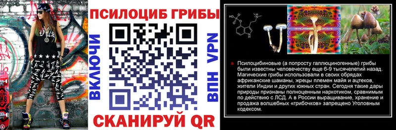 Галлюциногенные грибы Psilocybine cubensis blacksprut ТОР Колпашево