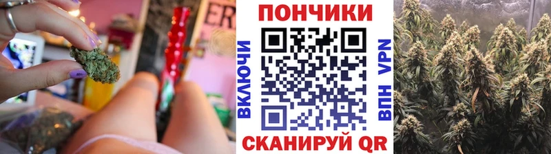 Шишки марихуана планчик  Колпашево 